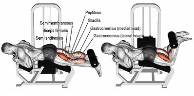 Curl femoral tumbado en máquina para endurecer glúteos